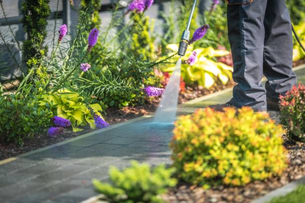 Best Sidewalk and Walkway Cleaning  in Juno Ridge, FL